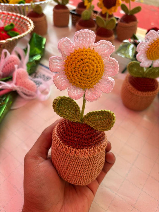 Daisy Flower Pot